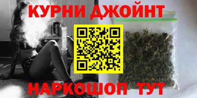 сатива Новодвинск