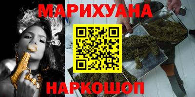 сатива Новодвинск