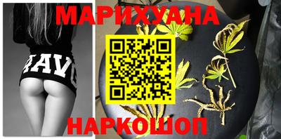 сатива Новодвинск