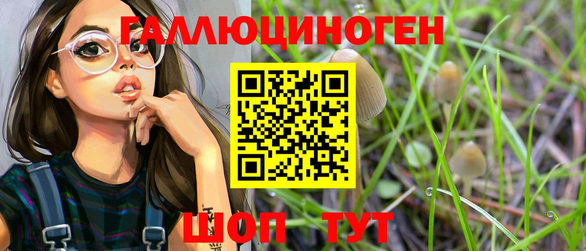 Сочи  Псилоцибиновые грибы Magic Shrooms  хочу   Вход с VPN 
