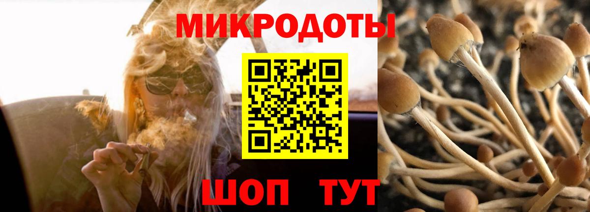 Галлюциногенные грибы Magic Shrooms Сочи